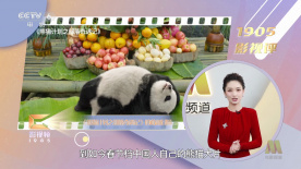 青青草原国产